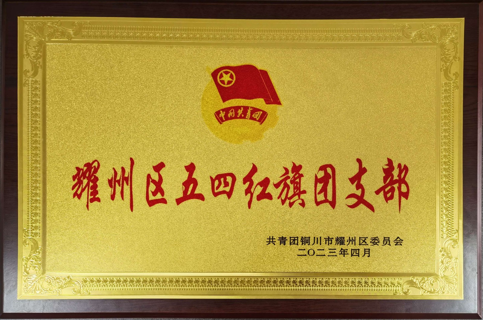 “2022年度耀州區(qū)五四紅旗團(tuán)支部”榮譽(yù)獎牌.jpg